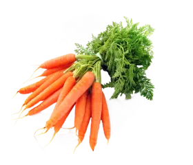 picture of carrot