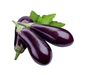 picture of eggplant